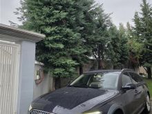 OKAZION Shes Audi A6 Allroad 3.0 nafte nga Europa 0692109064