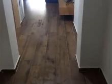 Jepet me qera apartament 1+1 ne golem /25,000 leke