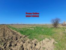Në Shkallë Manzë SHITET 4.500 m2 tokë