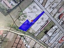Shitet trualli në rrugën kryesore Dushanove
