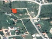 6Ari Troll te Shkolla fillore Bajram Curri