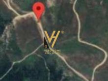 SHITET TOKE 33.000 M2 TEK KEPI I RODONIT 1.190.000 EURO