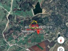 🆕🌳 SHITET TOKË-ARE NË SHERISHTË-QISHBARDHË, VLORË