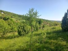 Shitet trualli Makresh I Eperm