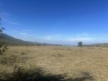 Shitet toka ne burrnik 53 ari