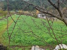 Tokë 2.440 m² për Shitje në Baldushk – Tiranë | Mundësi e Si