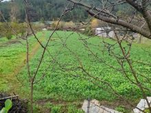Tokë 1.500 m² për Shitje në Baldushk – Tiranë | Mundësi e Si
