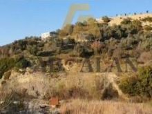 SHITET 6000m2 TOKE PRANE \"Kodra e Kuajve\"!!
