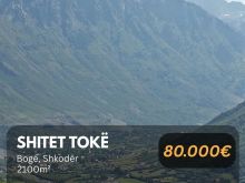 🚨 Shitet Tokë në “Bogë”, Shkodër!  💶 Çmimi: 80.000€  📞 Ko
