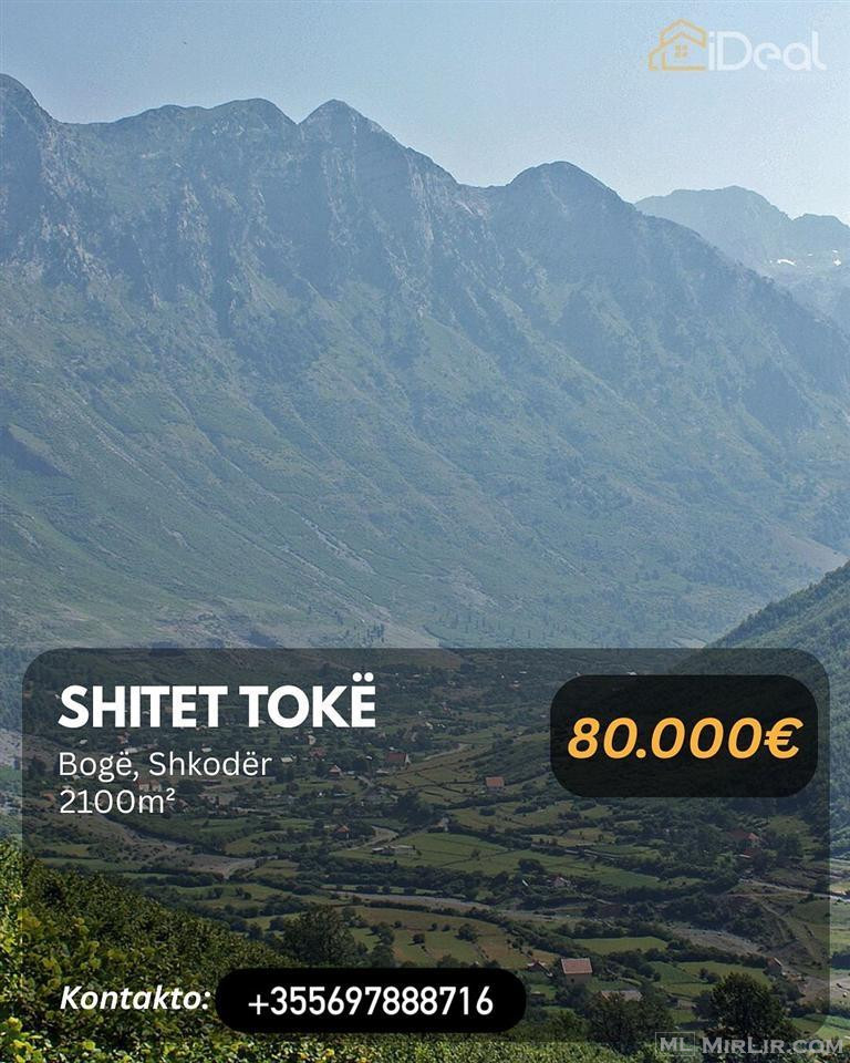 Shitet toke