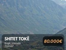 Shitet toke