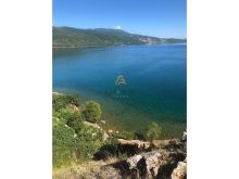 NE POGRADEC 28 HEKTARE TOKE PER SHITJE!