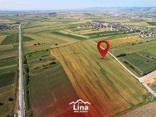 LINA-Shitet Parcela 33ari ne Muhoc
