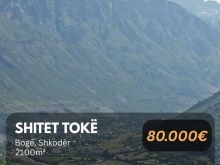 🚨 Shitet Tokë në “Bogë”, Shkodër!