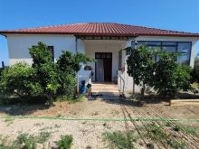 Kavaje,Shtëpi private +3640 m² tokë(vreshtari,100 ullinj)