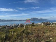 🆕🌳 SHITET TOKË – PEMËTORE NË RADHIMË, VLORË.