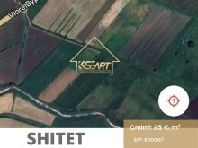 Shitet Toke