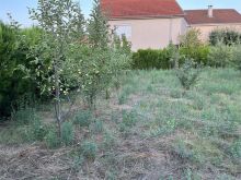 Trualli ne shitje me siperfaqe 5Ar, 45m2