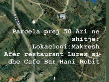 Shitet prcela ne Makresh Artan
