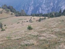 💥SHITET TOKA 138ARI,- FSHATI SHTUPEQ I VOGEL  RUGOVË💥