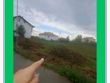Kodi 446 ➡️Shiten parcela te trojeve në Pejë j 9ari, 9.5ari