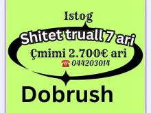 Shiten 7ari truall në Dobrush, Istog━━━━━━━━━━━━━━━━━━━🌿