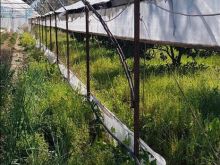 Shitet Sera 1200 m2