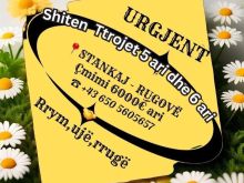 💥 URGJENT - SHITEN TROJET 6 ARI & 5 ARI - FSHATI STANKAJ
