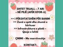 SHITET TRUALL – 7 ARI – NË PEJË(AFËR KFOR-it)>>