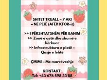 SHITET TRUALL – 7 ARI – NË PEJË(AFËR KFOR-it)>>
