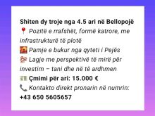Shiten dy troje nga 4.5 ari në Bellopojë - Pejë 🟩