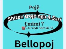 ✨ SHITEN DY TROJE PREJ 4.5 ARI NË PEJË 📍 BELLOPOJË! ✨📍