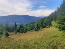 Kodi 050➡️SHITEN 65ari tokë në fshatin Drelaj, Leçinat