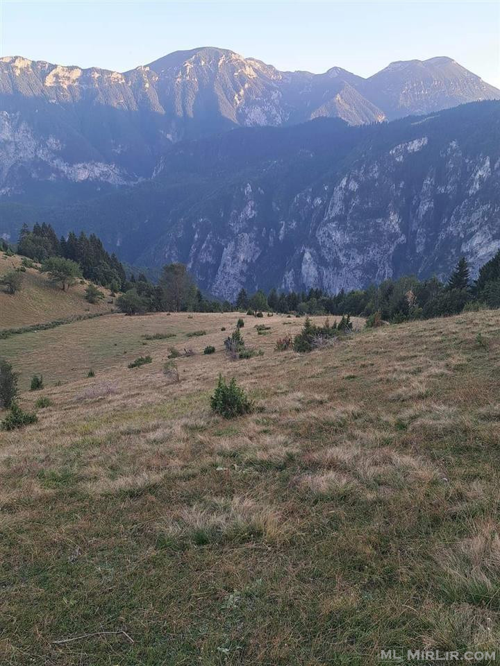 💥SHITET TOKA 138ARI,- FSHATI SHTUPEQ I VOGEL RUGOVË💥