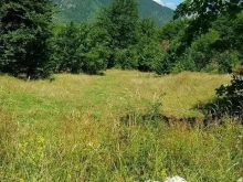➡️ Shiten 65 ari tokë📌 Në Rugovë të Pejës , në bjeshk