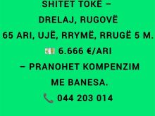 SHITET TOKË – DRELAJ, RUGOVË65 ari, ujë, rrymë, rrugë 5 m.