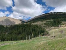✨ SHITET SHTËPIA NË PEPAJ, RUGOVË – 5 ARI TRUALL ✨🏡