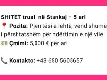 SHITET truall në Stankaj–5 ari📍Pozita: Pjerrtësi e lehtë