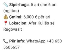 📣 Shiten dy troje në Stankaj të Rugovës📏