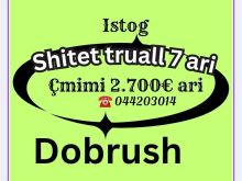 Shiten 7ari truall në Dobrush, Istog━━━━━━━━━━━━━━━━━━━🌿