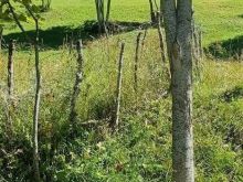 ➡️SHITEN 65ari tokë në fshatin Drelaj, Pjesa e Leqinati