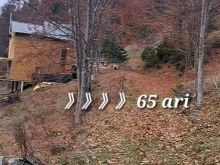 ➡️ SHITEN 65 ARI TOKË – FSHATI DRELAJ, LEQINAT, RUGOVË🌲