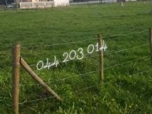 ➡️SHITET trojet Pejë prej 598m2, 948m2, 956m2, 990m2