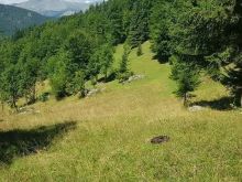 Kodi 050➡️SHITEN 65ari tokë në fshatin Drelaj,në Rugovë.