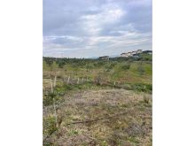 Tokë për Shitje në Arapaj, Durrës - 362700€ | 8060 m²