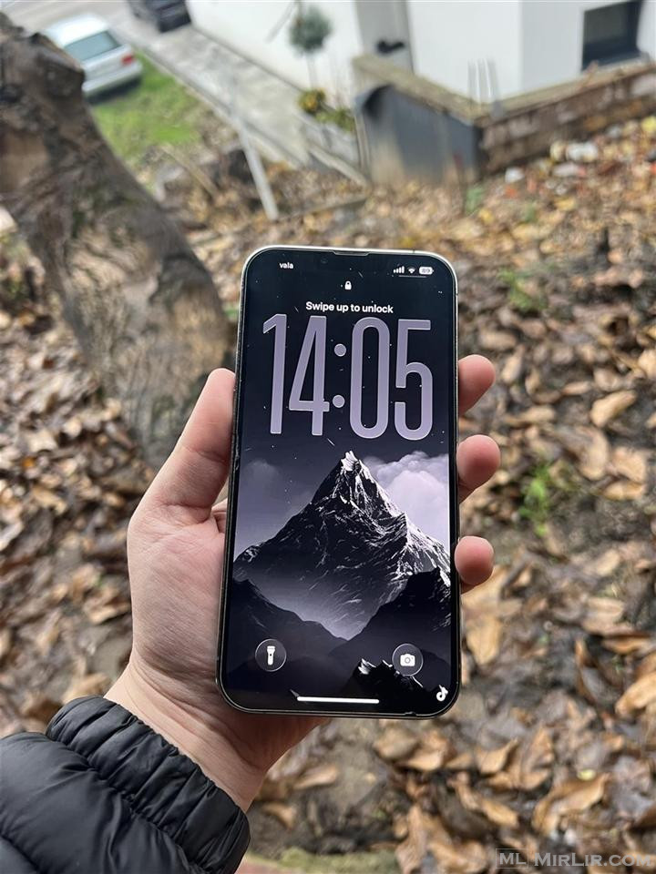 iPhone 13 Pro Max