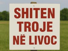 Shiten troje në Livoç