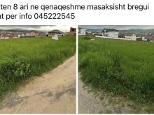 Trueli 8.ari ne Qenaqeshme -arbri Gjilan
