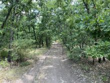 Shitet parcella ne livoq 1hekter 24 ari