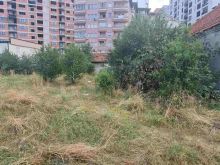 Shitet trualli me siperfaqe prej 22,7 ari në ferizaj